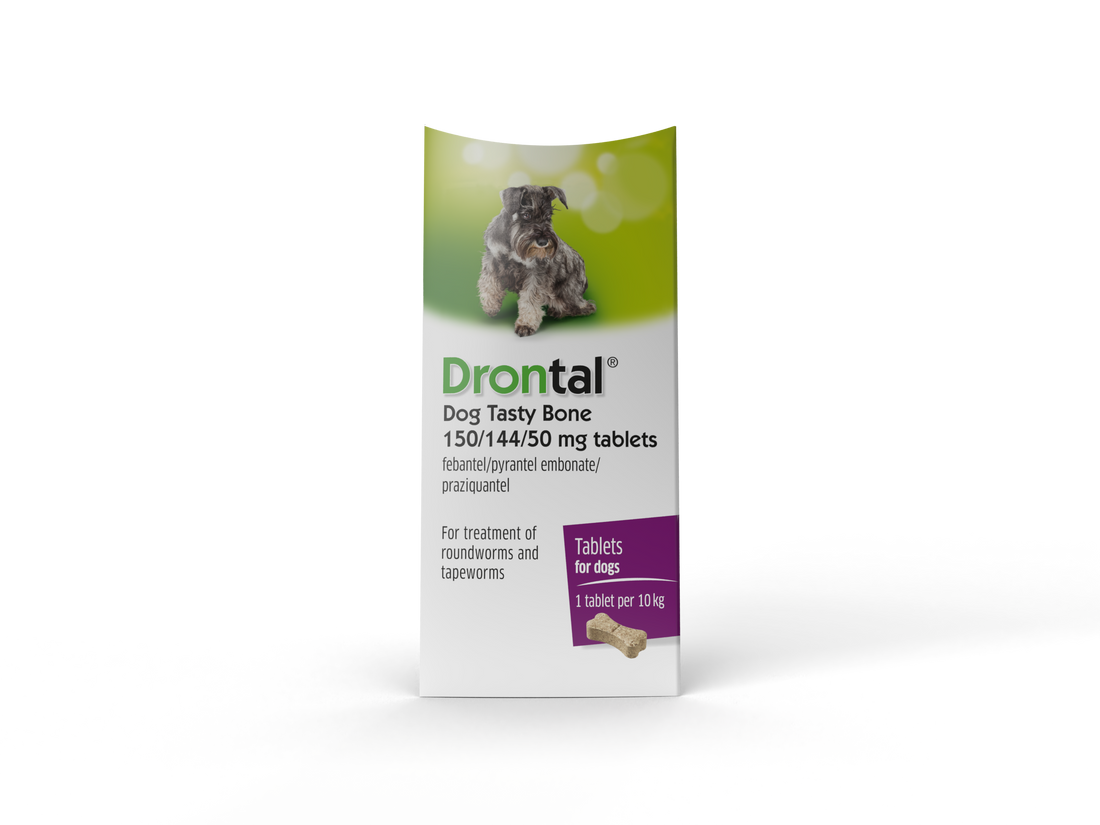Drontal Tasty Bone 2 Pack (Small and Medium Dogs 2-20kg)
