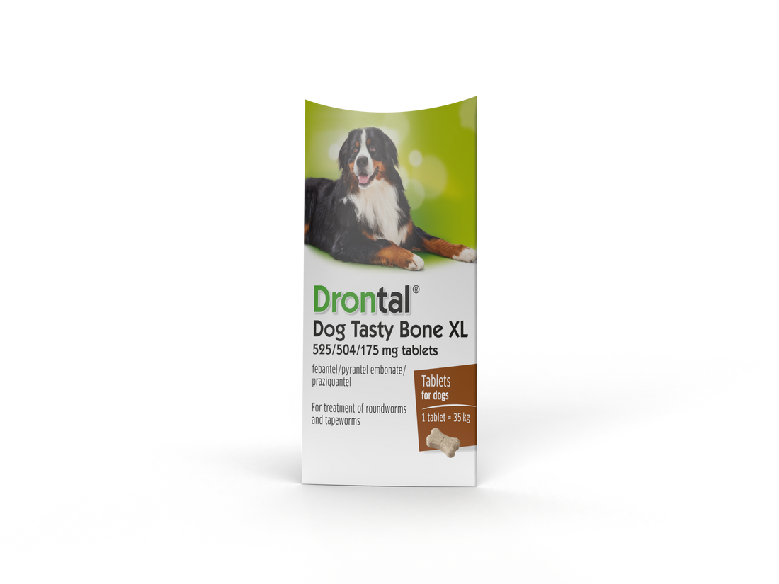 Drontal Tasty Bone XL 2 pack (Large dogs over 20kg)
